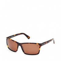 Gafas de Sol TB00032  TIMBERLAND