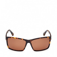 Gafas de Sol TB00032  TIMBERLAND