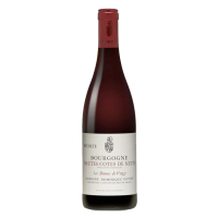 Bourgogne Hautes-côtes de Nuits 'les Dames de Vergy' 2021 - 75CL  ANTONIN GUYON