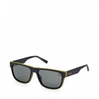 Gafas de Sol TB00025  TIMBERLAND