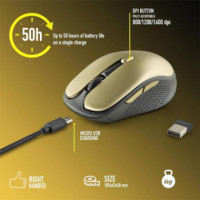 Raton NGS Evo Rust Wireless Silent Gold