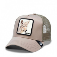 Gorra The Bandit Coyote  GOORIN BROS