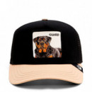 Gorra The Guard Dog  GOORIN BROS