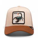 Gorra The Deadliest Scorpion  GOORIN BROS