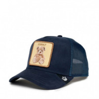 Gorra The Cuddly Bear  GOORIN BROS