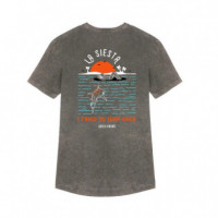 Camiseta ARICA la Siesta Gris Vintage