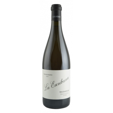 la Escribana - Vino de Pasto 2023 - 75CL  BODEGAS LUIS PÉREZ