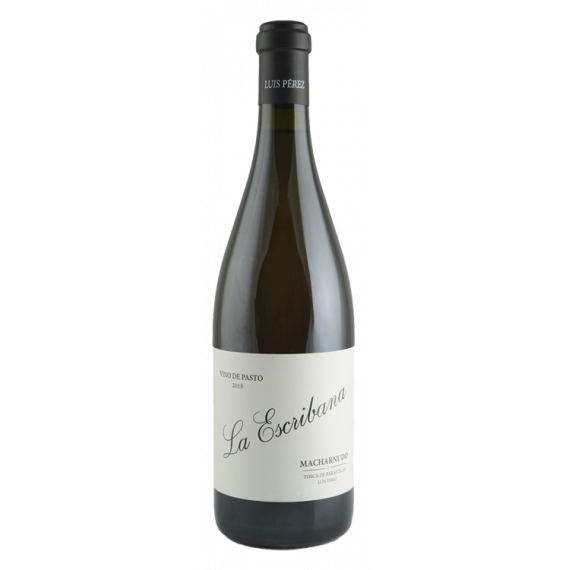 la Escribana - Vino de Pasto 2023 - 75CL  BODEGAS LUIS PÉREZ