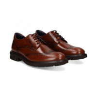 Blucher Picado Vega Florentick Marron  FLUCHOS