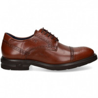 Blucher Partido Florentick Marron  FLUCHOS