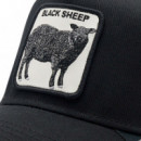 Gorra The Black Sheep  GOORIN BROS