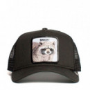 Gorra The Bandit  GOORIN BROS