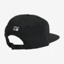 Gorra RVCA Pommier Palm