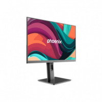 Monitor PHOENIX Essence 24" IPS 100HZ Multimedia Ergonomico VGA HDMI Dp