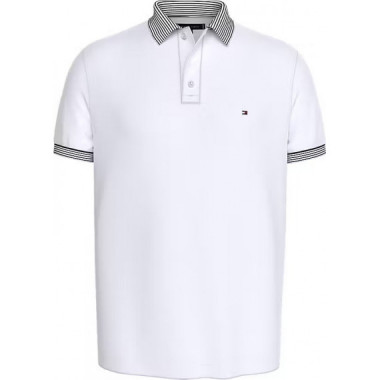 MULTI STRIPE COLLAR REG POLO WHITE