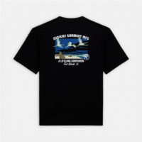 Camiseta DICKIES Companion