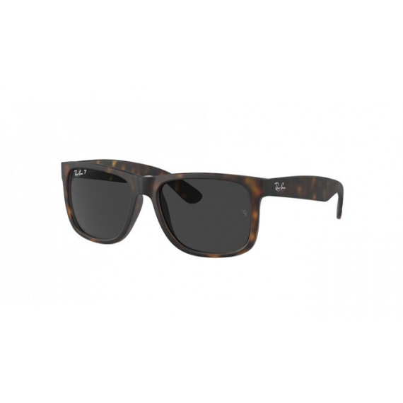 Gafas RAYBAN RB4165 865/87 55