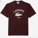 TH2733-00 BZD LACOSTE