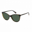 Gafa Polaroid PLD4179/086-UC  POLAROID SUNGLASSES