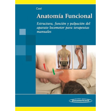 Cael:anatomãƒâ†a Funcional