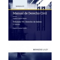 Manual de Derecho Civil