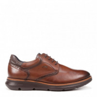 FLUCHOS Zapatos Marrones F1351-HABANA Camel