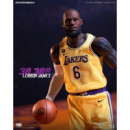 Figura Lebron James Edicion Especial Nba Collection  HOT TOYS