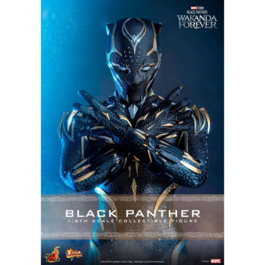 Figura Black Panther Wakanda Forever HOT TOYS Masterpiece