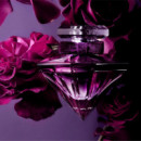 Lancôme la Nuit Tresor Le Parfum Parfum  LANCOME