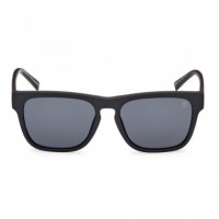 Gafas de Sol TB00011  TIMBERLAND