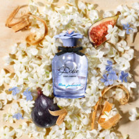 Dolce Blue Jasmine  DOLCE & GABBANA