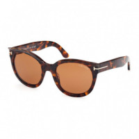 Gafas de Sol FT1114  TOM FORD EYEWEAR