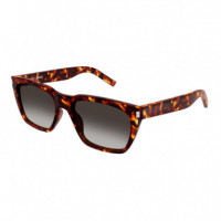 Gafas de Sol Sl 598  SAINT LAURENT