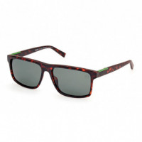 Gafas de Sol TB00006  TIMBERLAND