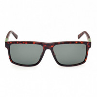 Gafas de Sol TB00006  TIMBERLAND