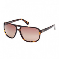 Gafas de Sol TB00031  TIMBERLAND