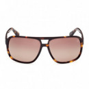 Gafas de Sol TB00031  TIMBERLAND