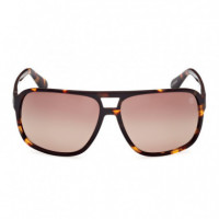 Gafas de Sol TB00031  TIMBERLAND