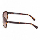 Gafas de Sol TB00031  TIMBERLAND