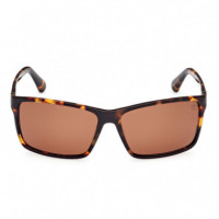 Gafas de Sol TB00032  TIMBERLAND