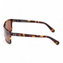 Gafas de Sol TB00032  TIMBERLAND