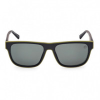 Gafas de Sol TB00025  TIMBERLAND