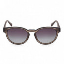 Gafas de Sol TB00026  TIMBERLAND