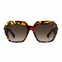 Gafas de Sol 0043/S  ETRO