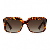 Gafas de Sol 0045/G/S  ETRO