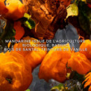 Mandarine Basilic Forte Estuche  GUERLAIN