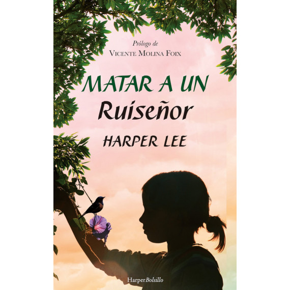 Matar a un Ruiseãâ±or