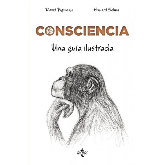 Consciencia