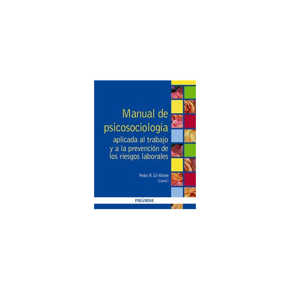 Manual de Psicosociologãâ­a Aplicada Al Trabajo y a la Prevenciãâ³n de los Riesgos Laborales