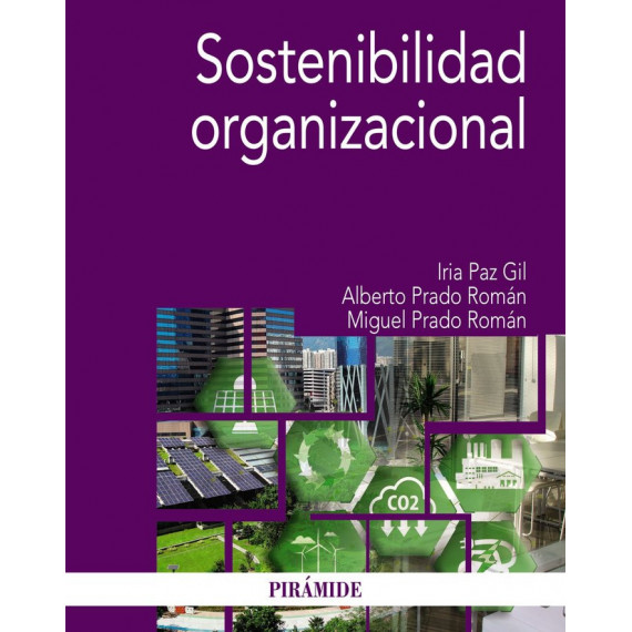 Sostenibilidad Organizacional